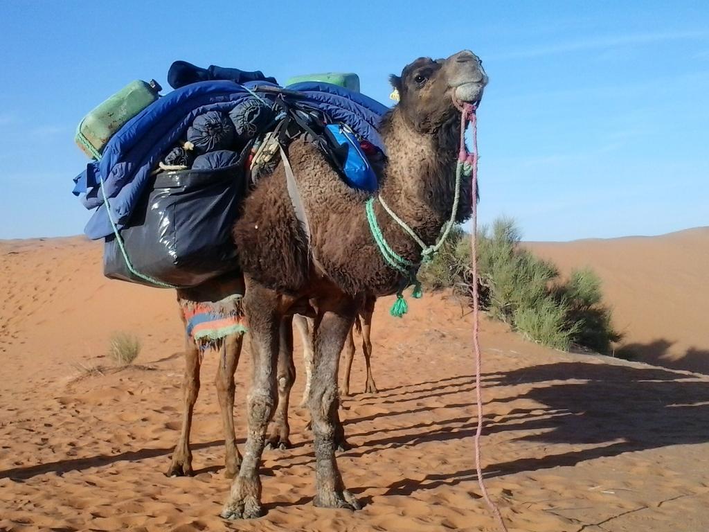Bivouac Erg Znaigui Ξενοδοχείο Merzouga Εξωτερικό φωτογραφία